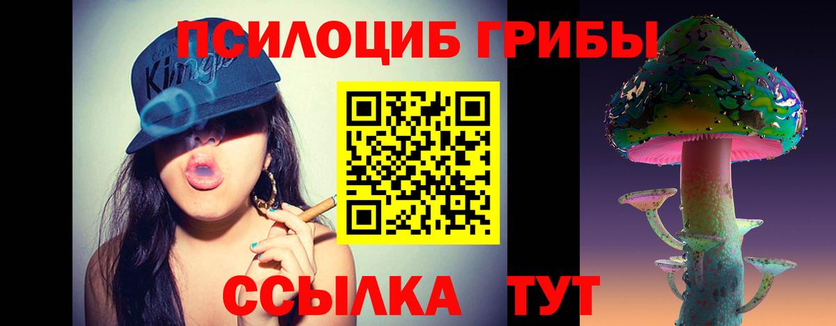 что такое наркотик  Галлюциногенные грибы мицелий  Вход с VPN  Северск 