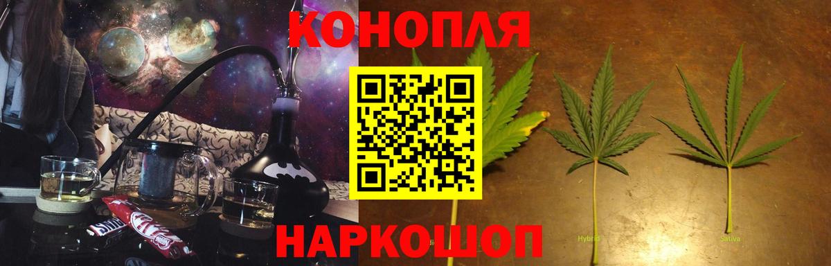 Канабис гибрид Северск
